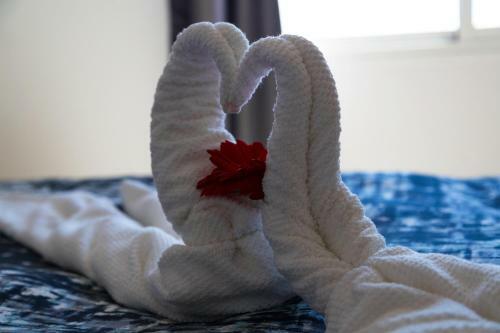 Puesta De Sol