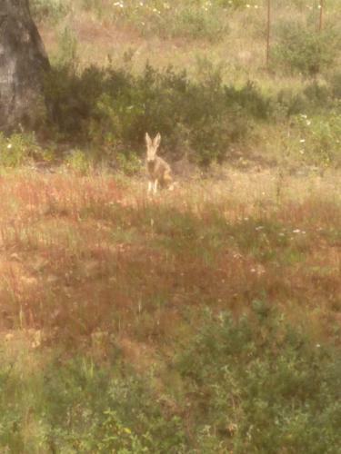 Agroturismo Casa Rural Villamada