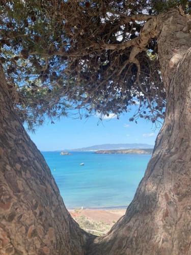 Apartament Claudia I