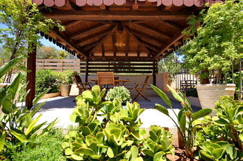 Aloe Luxury Apartments & Suites