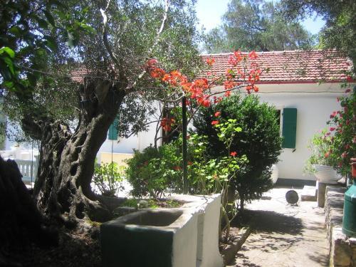 Apartamento Joanna's Cottage