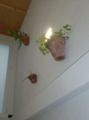 Hostal Rocio Rooms