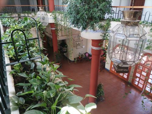 Apartamento Reina Y Pastora Con Parking
