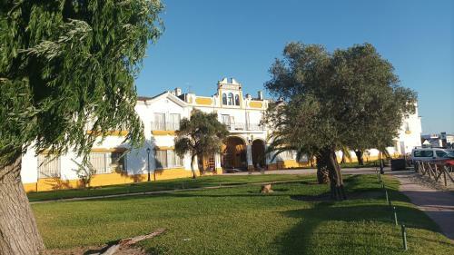 Apartamento Reina Y Pastora Con Parking