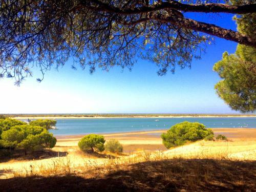 Bed & Breakfast Room In El Rompido, Spain