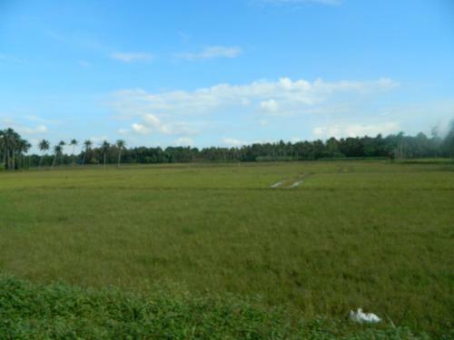 Zamaraya Bed & Breakfast