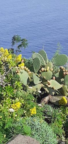 Casa Mirador El Topo