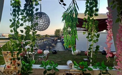 La Villa Del Karting