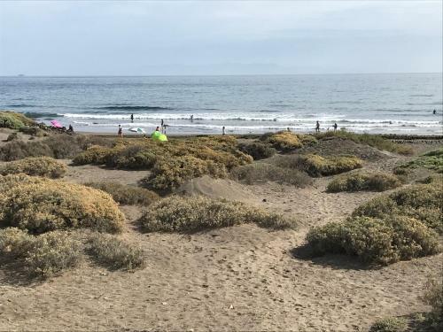 Apartamento La Perla Medano 2
