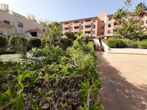 Apartamento Bungalow Mencey II