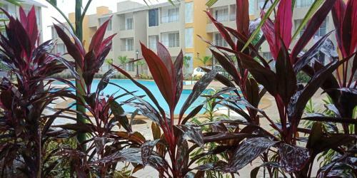 Most Convenient 2 Br Apartment In Central Anjuna