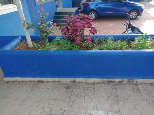 Apartamento Pamela Palms Home Stay Goa.