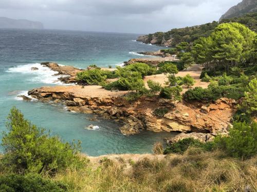 ***vacation Studio Apartment At Siesta Resort***