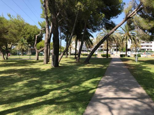 ***vacation Studio Apartment At Siesta Resort***