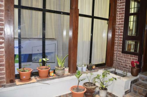 Tananai Newa Home (mt. Ganesh)