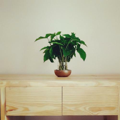 Apartamento Sayami Home