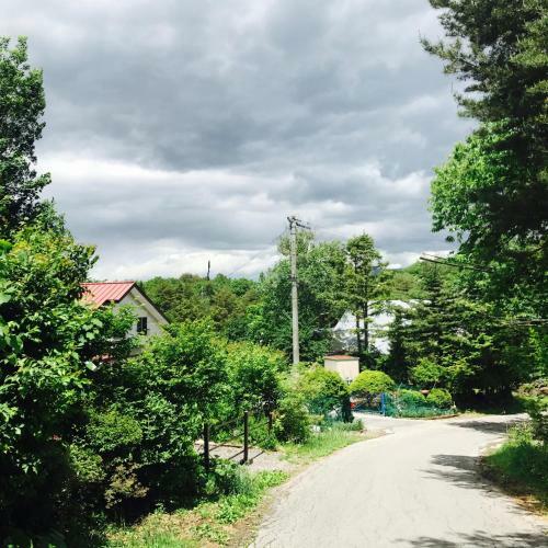 Nagano-log House