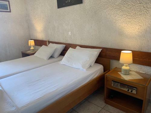 Sariza Spring Hotel
