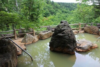 Yumoto Shirogane-onsen Hotel