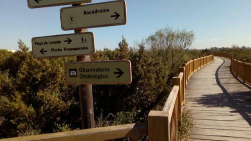 Apartamento Valdelagrana