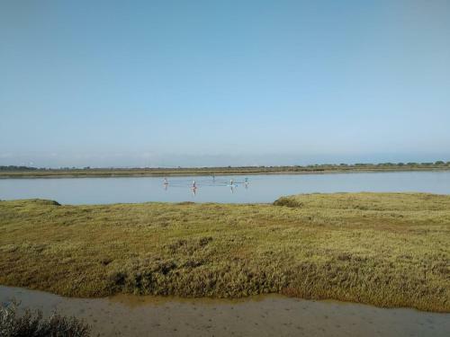 Apart Playa Valdelagrana Paseo Mar�timo 29