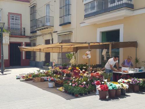 Apartamento Casa Palacio Centro Del Puerto