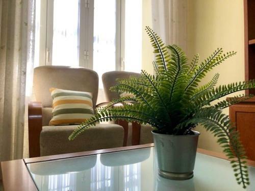 Apartamento Gatu La Posada Del Mercado