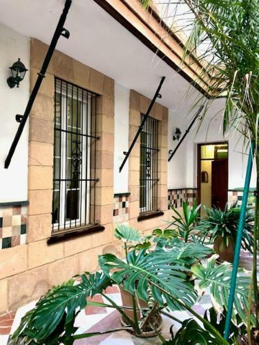 Apartamento Gatu La Posada Del Mercado
