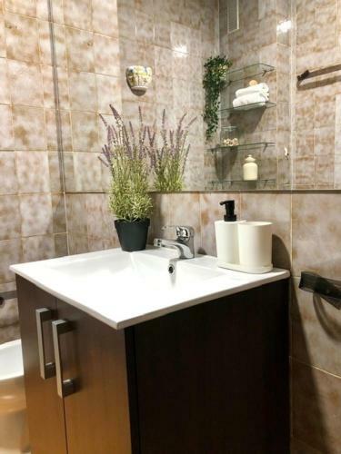 Apartamento El Galeno Del Puerto