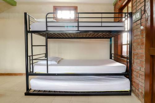 Hostal Omah Kemiri 4 Yogyakarta
