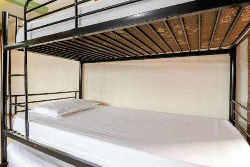 Hostal Omah Kemiri 4 Yogyakarta