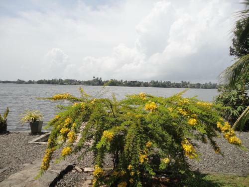 Bed & Breakfast Sapara River Guest