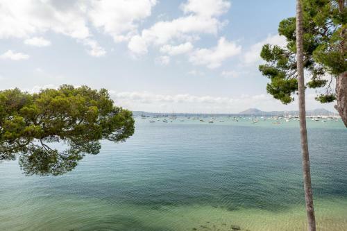 Apartamento Catalina 3b- Tres Dormitorios