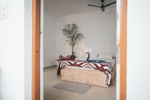Hostal Deshu's Little Italy