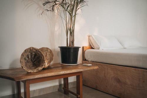 Hostal Deshu's Little Italy