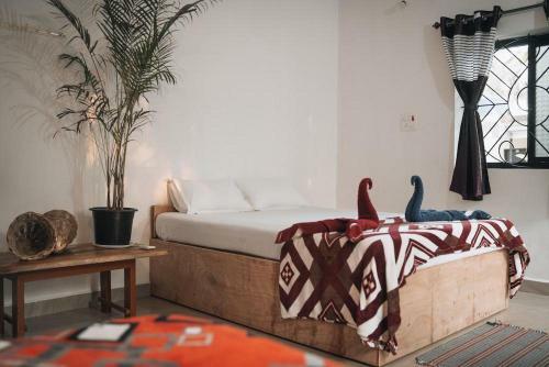 Hostal Deshu's Little Italy