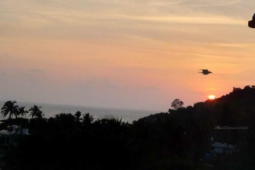 Hotel La Cayden's Guest House