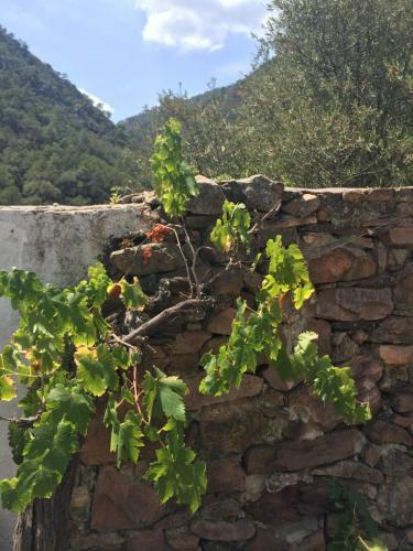 La Casita Pe�ablanca