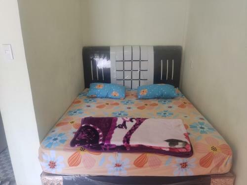 Hotel Penginapan Sejolie Sibayak