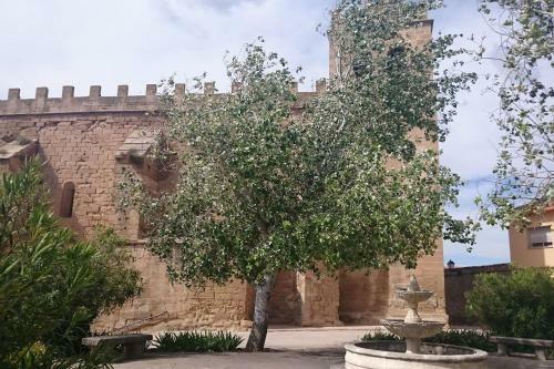 Apartamento La Gatera 1d Bajo Aragon - Matarra�a
