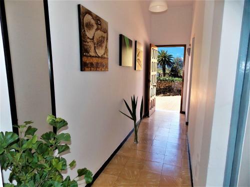 Casa Fasnia Nature