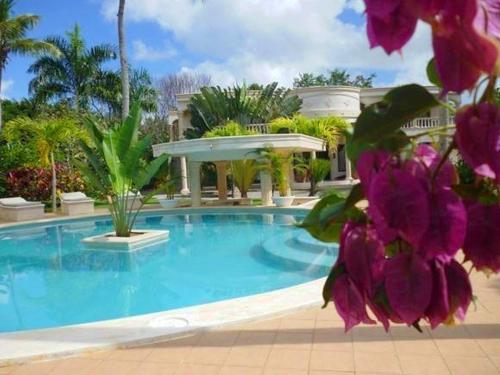 Bed & Breakfast Villa La Plantacion