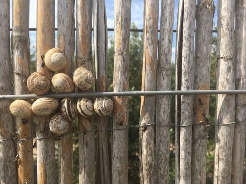 Cortijo Los Garridos - Fern�n P�rez