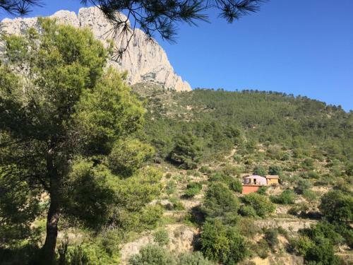 Yurta Naranja