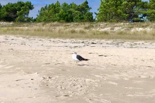 Apartamento 1� L�nea de Playa Rodeado de Naturaleza