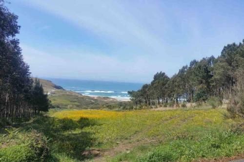 Apartamento 1� L�nea de Playa Rodeado de Naturaleza
