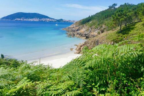 Apartamento 1� L�nea de Playa Rodeado de Naturaleza