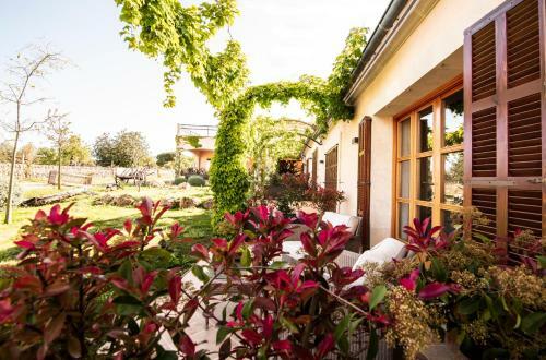 Apartamento Sa Posada D'aumallia