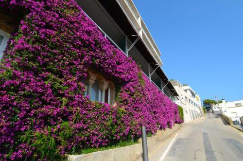 Apartamento Nautic 2-2
