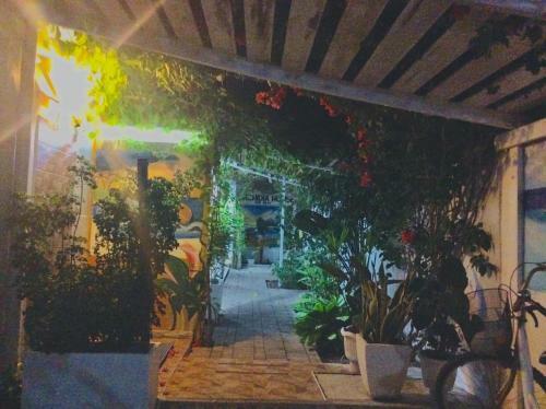 Hostal Orchidia House Santa Fe Bantayan Island